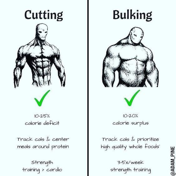 Bulk vs Cut